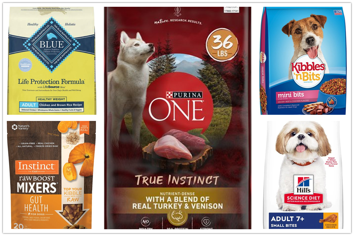 The Best Types Of Food That Suits Your Dog – Today Reviews